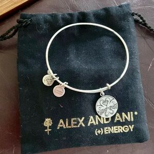 Alex and Ani Silver Bangle with Charms